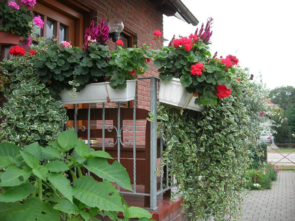 Borchert Apartment